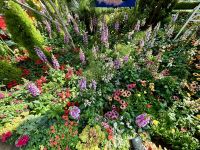 Singapur: Flower Dome