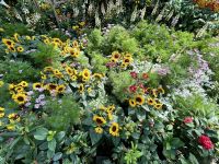 Singapur: Flower Dome