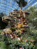 Singapur: Flower Dome