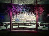 Singapur: Flower Dome, Sonderausstellung von Claude Monet