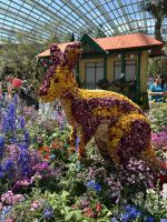 Singapur: Flower Dome
