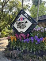 Singapur: National Orchid Garten