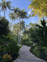 Singapur: National Orchid Garten