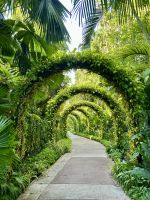 Singapur: National Orchid Garten