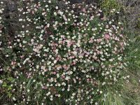 Sydney: Blue Mountains