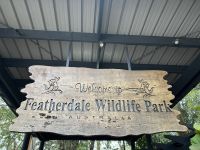 Sydney: Featherdale Wildlife Park