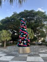 Cairns: Weihnachtsbaum an der Promenade 