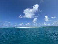 Cairns: Ausflug zum Great Barrier Reef Michaelmas Cay