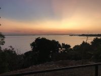 Darwin in der Abenddämmerung 