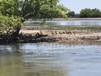 Bootsfahrt Yellow Water