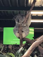 EDBE5944-8629-40A3-ABDE-DFB7A09DD3AF &ndash; &copy; Alexander Behling (Eberhardt TRAVEL)