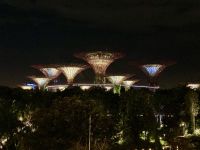 Gardens by the Bay, Singapur
