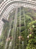 Cloud Forest, Singapur 