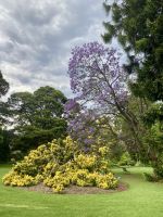 Botanischer Garten, Melbourne 
