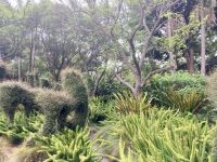 Botanischer Garten, Melbourne 