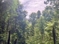 Scenic World, Blue Mountains 