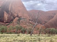 Ayers Rock, Outback