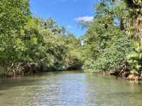 Bootsfahrt auf dem Daintree River