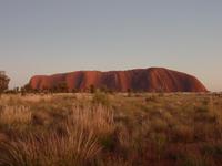 Sonnenaufgang am Uluru