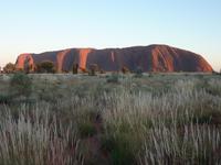 Sonnenaufgang am Uluru