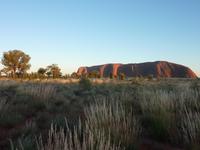 Sonnenaufgang am Uluru