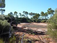 Im Alice Springs Desert Park