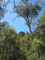 Auf dem Weg zu Standley Chasm