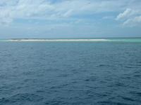 Michaelmas Cay
