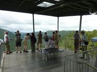 Mamu Canopy Walk
