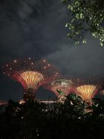 Super Trees in den Gardens by the Bay