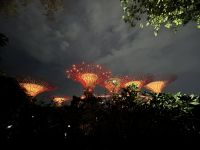 Super Trees in den Gardens by the Bay