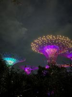 Super Trees in den Gardens by the Bay