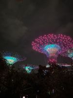 Super Trees in den Gardens by the Bay