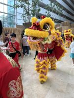 Chinesisches Neujahr