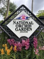 Singapur - Orchideen-Garten