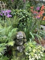 Singapur - Orchideen-Garten