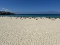 Sydney - Bondi Beach