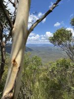Blue Mountains - Megalong Valley