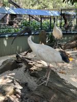 im Featherdale Wildlife Park Sydney