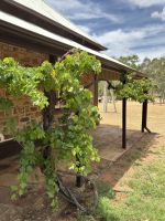 Alice Springs - Alte Telegrafenstation