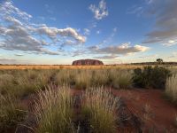 Sonnenuntergang am Uluru / Ayers Rock
