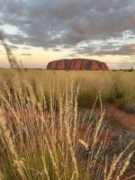 Sonnenuntergang am Uluru / Ayers Rock