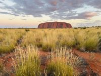 Sonnenuntergang am Uluru / Ayers Rock