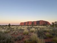 Sonnenaufgang am Uluru / Ayers Rock