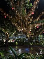 Chinesisches Neujahr wird noch gefeiert