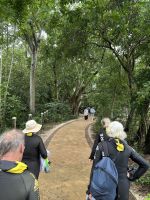 Aufenthalt auf Green Island