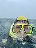 Schnorcheln am Great Barrier Reef