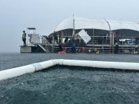 Schnorcheln am Great Barrier Reef