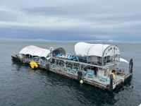 Plattform am äußeren Riff