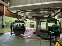 Fahrt mit der Skyrail in den Regenwald